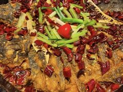 -老板恋上鱼(印象城店)