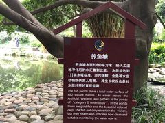 -成都市活水公园