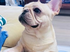 -爱侣宠医·鹦鹉专科·小型哺乳类·异宠专科(灵石路店)