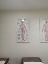 -赵大夫减肥