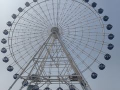 -秦皇岛乐岛海洋王国