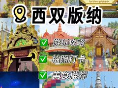 -西双版纳原始森林公园
