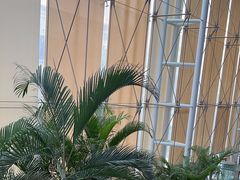 -复旦大学附属中山医院(西院区)