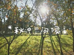景点-南京市江宁方山