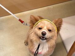 -小意思咖啡店(草桥店)