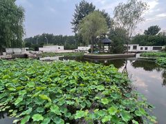 -廊坊市自然公园
