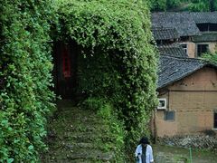 -杨家堂村