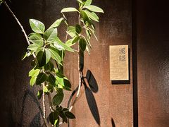 -木守西溪溪隐餐厅