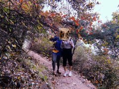 -阳台山自然风景区