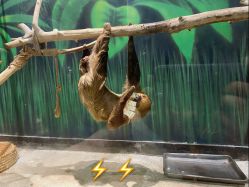 -未来动物城动物主题公园(大悦城店)