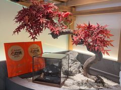 -阿吾罗·月咏精致日料(港汇恒隆广场店)
