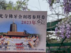-八大处公园