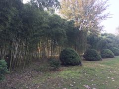 -春兰国宾馆(凤城河风景区老街店)