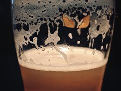 -蜜和麦精酿啤酒吧honey&malt(桐梓林店)