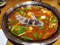 -新凯里酸汤鱼(飞山街店)