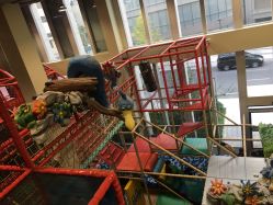 -玩元素·家庭游乐成长中心(香格里拉店)