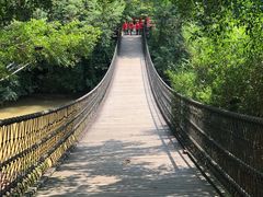 -南宁良凤江国家森林公园