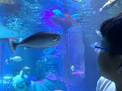 -沈阳海洋探索中心