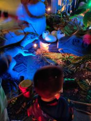 -恐龙探索乐园(磁器口店)