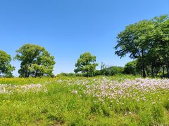 -尚贤河湿地