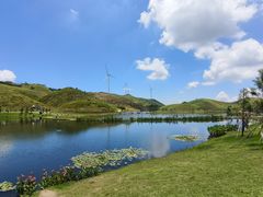 -仰天湖大草原