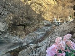 -少华山国家森林公园
