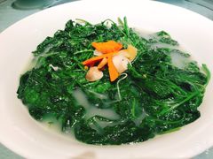 上汤辣椒叶-朱仔记食府(江南大道店)