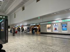 -米兰-马尔彭萨机场