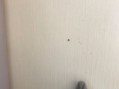 -全季酒店(成都春熙路IFS国金中心店)