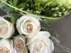 -循礼门鲜花花市(武汉循礼门店)