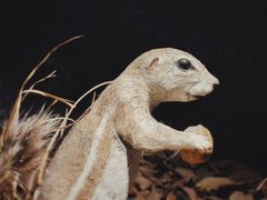 -陕西自然博物馆