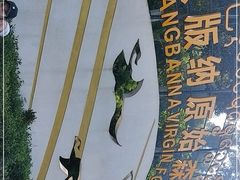 -西双版纳原始森林公园