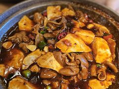 臭豆腐肥肠煲-周家二小姐的菜(西津渡店)