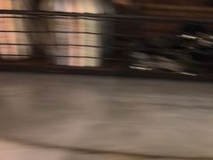 -自由生长植物工作室(深港花卉中心店)