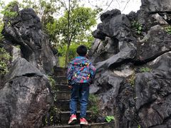 -千岛湖石林