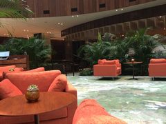 -北京望京凯悦酒店The Lounge大堂酒廊