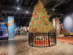 -幻贝家儿童乐园(温州银泰城店)