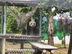 -苏州太湖国家湿地公园
