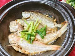 -蛇口康乐快餐鱼仔档(翠苑小区店)