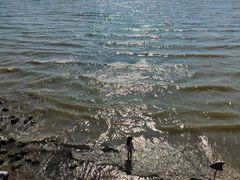 -捞渔河湿地公园