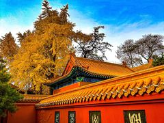 -戏马台景区