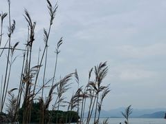 -东钱湖旅游度假区