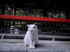 -颐和园