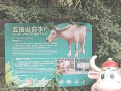 -海南热带野生动植物园