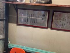 -猫咪博物馆(顶澳仔猫街店)