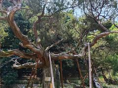 -草庵摩尼教遗址公园