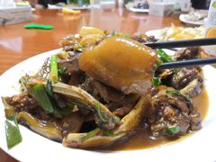 红烧甲鱼-百丈农家