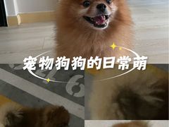 -中粮·祥云小镇