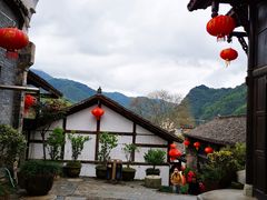 -后柳水乡