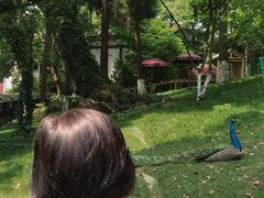-杭州香格里拉饭店